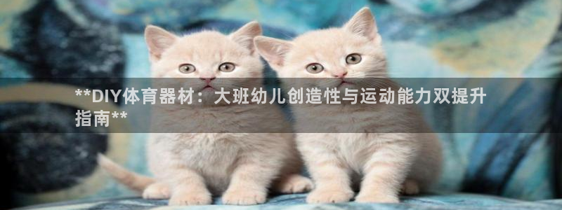 富联平台官网登录入口手机版：**DIY体育器材：大班