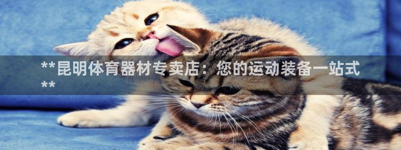 富联平台官网登录入口下载：**昆明体育器材专卖店：您