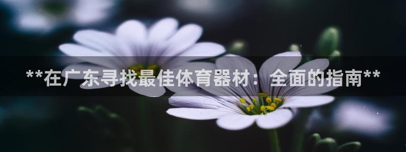 富联官网注册不了账号吗：**在广东寻找最佳体育器材：