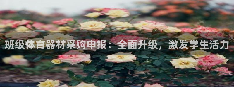 富联娱乐下载：班级体育器材采购申报：全面升级，激发学