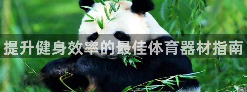 富联娱乐在线注册链接怎么弄的：提升健身效率的最佳体育