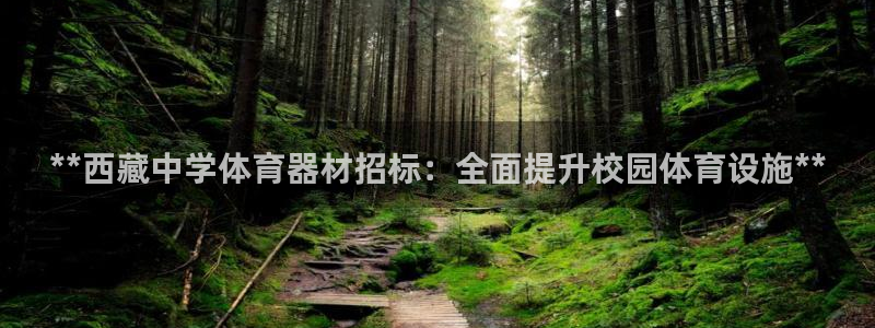 富联娱乐平台能挣到钱吗：**西藏中学体育器材招标：全