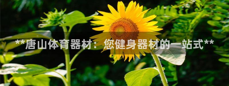 富联平台开户流程：**唐山体育器材：您健身器材的一站