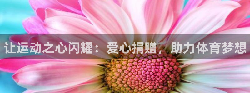 富联平台地址是什么：让运动之心闪耀：爱心捐赠，助力体