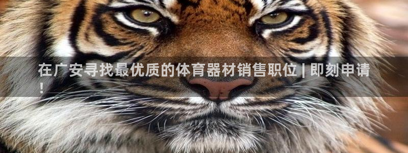 富联平台寇 37oo735：在广安寻找最优质的体育器