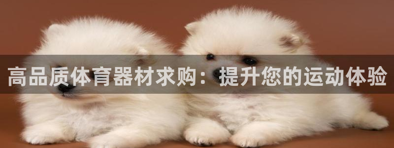 富联娱乐总代理：高品质体育器材求购：提升您的运动体验