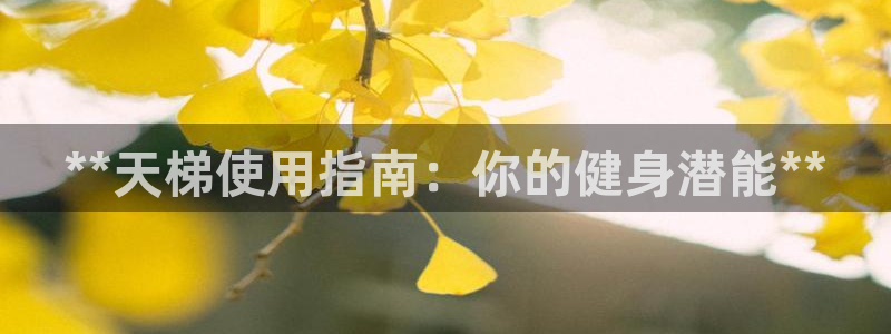 富联平台易 411o31 平台：**天梯使用指南：你