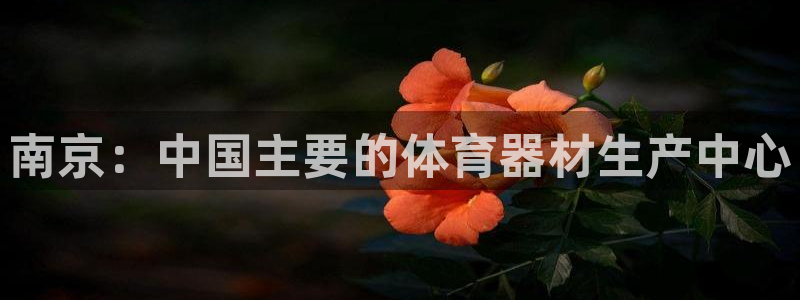 富联平台官网登录网址：南京：中国主要的体育器材生产中