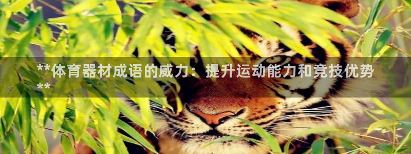 富联娱乐会员账号注销：**体育器材成语的威力：提升运