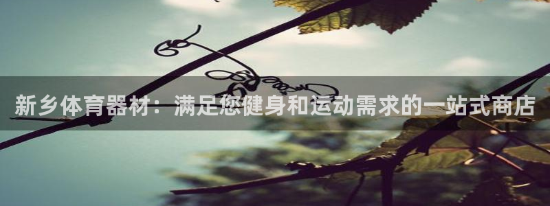 富联是什么板块：新乡体育器材：满足您健身和运动需求的
