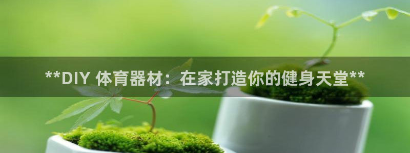 富联股份股票怎么样：**DIY 体育器材：在家打造你