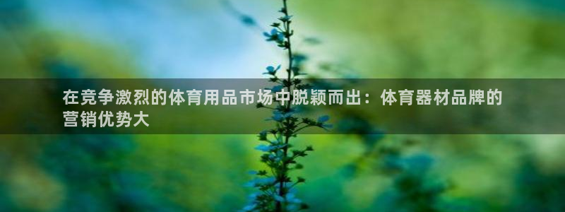 富联娱乐黑吗：在竞争激烈的体育用品市场中脱颖而出：体