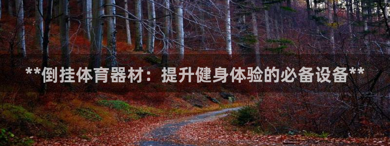 富联娱乐测速地址在哪：**倒挂体育器材：提升健身体验