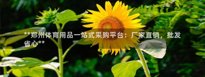 富联官方网站入口下载手机版：**郑州体育用品一站式采