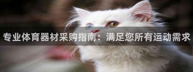 富联申购什么时候上市交易：专业体育器材采购指南：满足