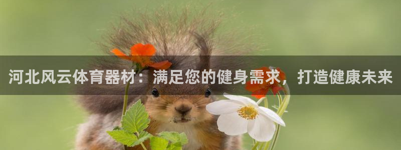 富联是什么平台：河北风云体育器材：满足您的健身需求，