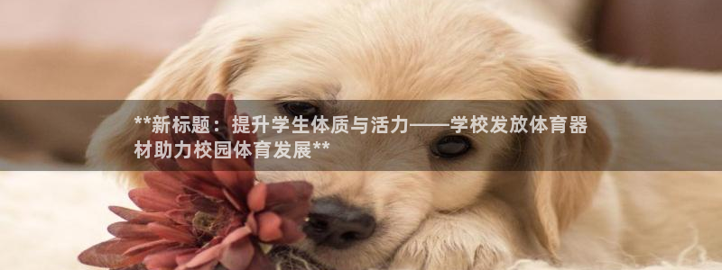 富联娱乐平台开户要钱吗安全吗：**新标题：提升学生体