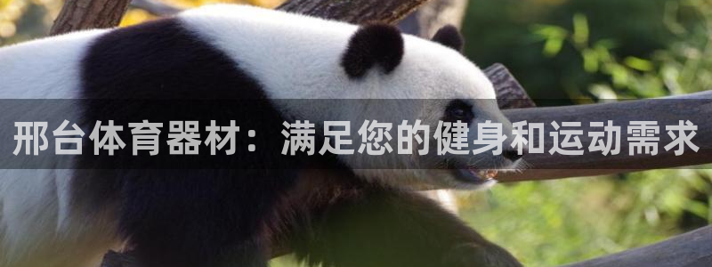 富联娱乐平台开户条件是什么：邢台体育器材：满足您的健