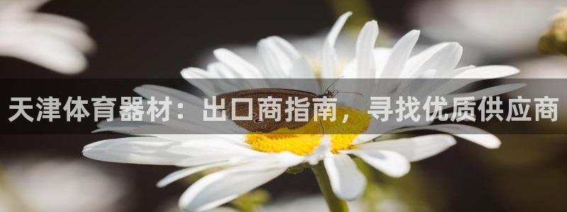 富联平台开户条件：天津体育器材：出口商指南，寻找优质