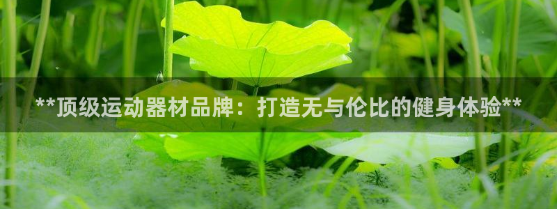 富联娱乐代理怎么做的：**顶级运动器材品牌：打造无与