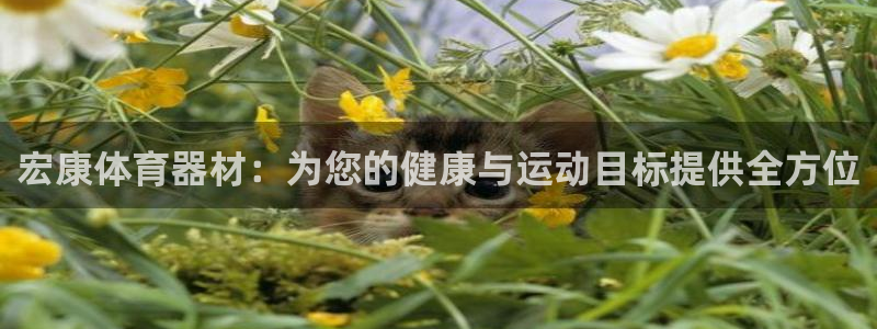 富联食品加工厂：宏康体育器材：为您的健康与运动目标提