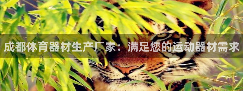 富联娱乐噢 411O31 富联：成都体育器材生产厂家