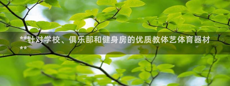 富联食品：**针对学校、俱乐部和健身房的优质教体艺体