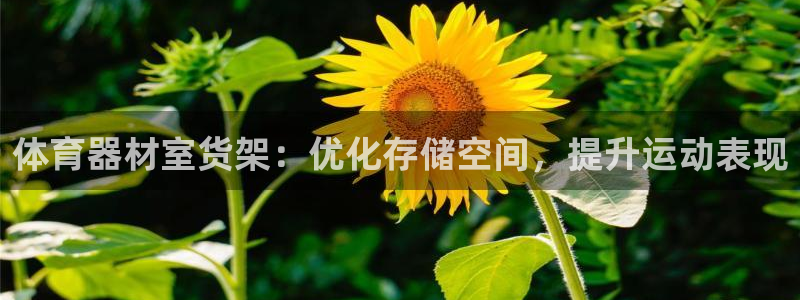 富联娱乐会员怎么取消：体育器材室货架：优化存储空间，