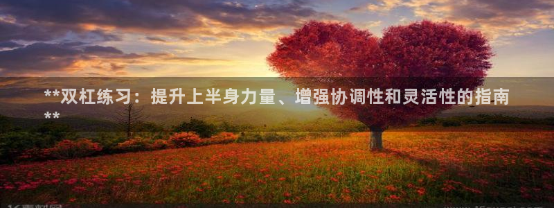 富联地产怎么样：**双杠练习：提升上半身力量、增强协