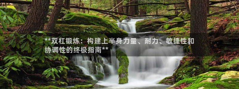 富联娱乐心 585341 娱乐：**双杠锻炼：构建上