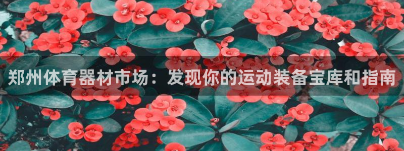 富联平台q665.786：郑州体育器材市场：发现你的