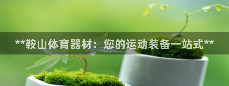 富联官网登陆：**鞍山体育器材：您的运动装备一站式*