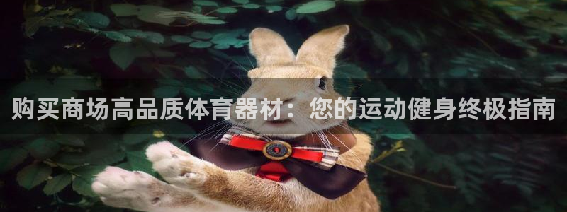 富联娱乐平台是什么：购买商场高品质体育器材：您的运动