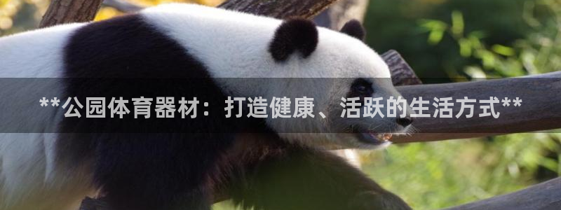 富联娱乐客户端app下载服务器异常：**公园体育器材