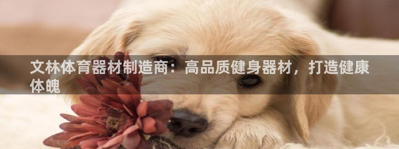 富联平台寇 37oo735：文林体育器材制造商：高品