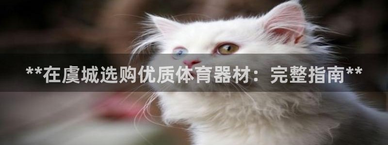 富联娱乐平台开户流程图：**在虞城选购优质体育器材：