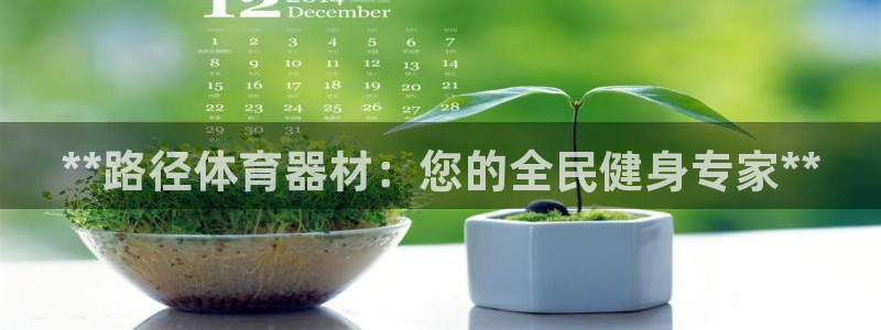 富联官方网站入口查询：**路径体育器材：您的全民健身