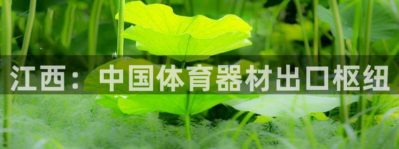 富联官方网站下载安装：江西：中国体育器材出口枢纽