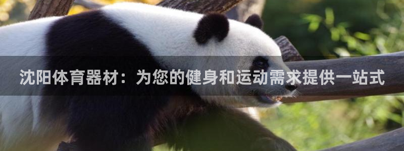 富联娱乐军7O777：沈阳体育器材：为您的健身和运动