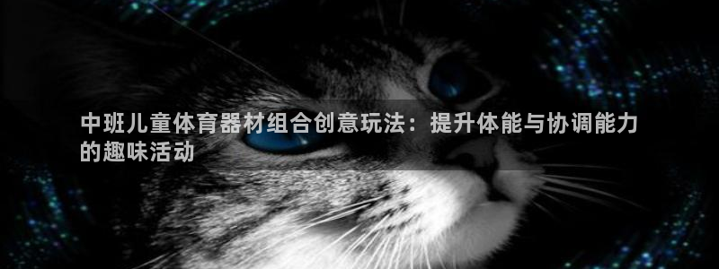 富联娱乐登录注册入口官网网址查询：中班儿童体育器材组