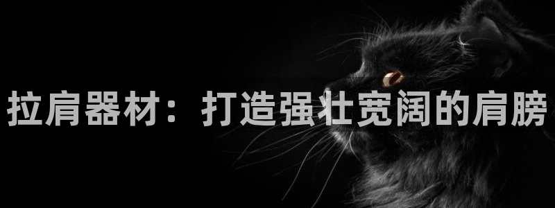 富联平台叩 411O31 富联：拉肩器材：打造强壮宽