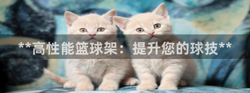 富联平台网站是什么：**高性能篮球架：提升您的球技*