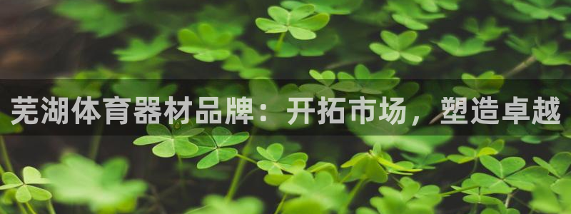富联娱乐平台是什么平台：芜湖体育器材品牌：开拓市场，