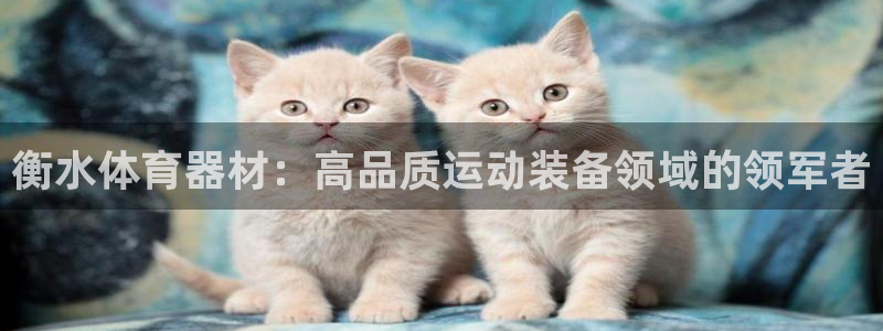 富联娱乐平台怎么样可靠吗：衡水体育器材：高品质运动装