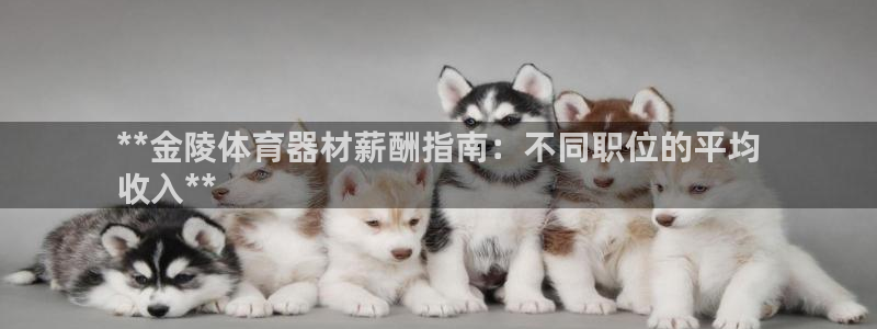 富联平台招商：**金陵体育器材薪酬指南：不同职位的平