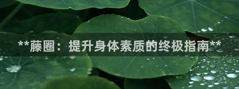 富联官网代理系列是正品吗：**藤圈：提升身体素质的终