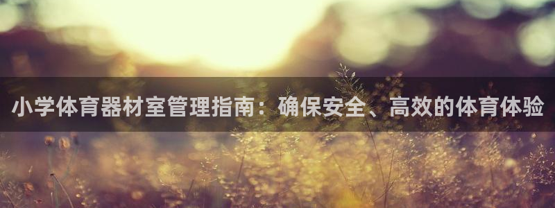 富联申购上市价格预测最新：小学体育器材室管理指南：确
