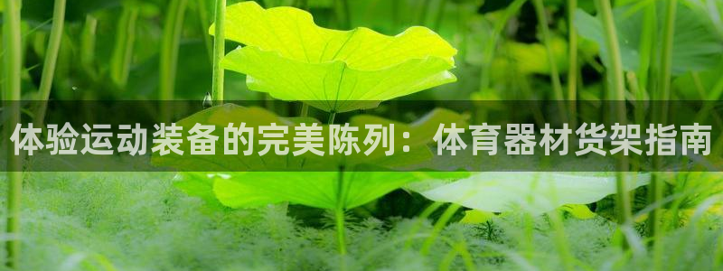 富联平台总代：体验运动装备的完美陈列：体育器材货架指