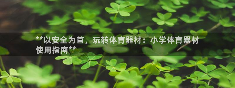富联平台挂机：**以安全为首，玩转体育器材：小学体育