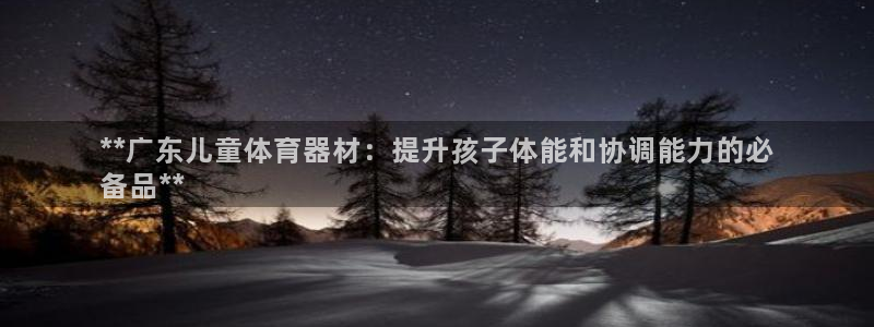 富联平台官网首页：**广东儿童体育器材：提升孩子体能